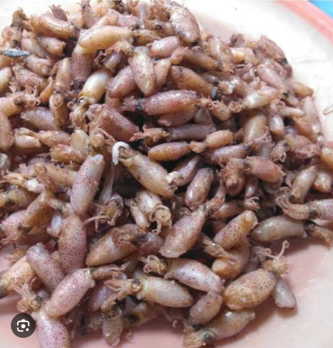 Baby Cumi ( squid ) 250gr