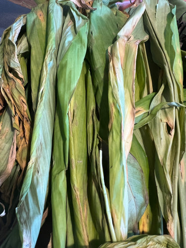 Daun Kunyit